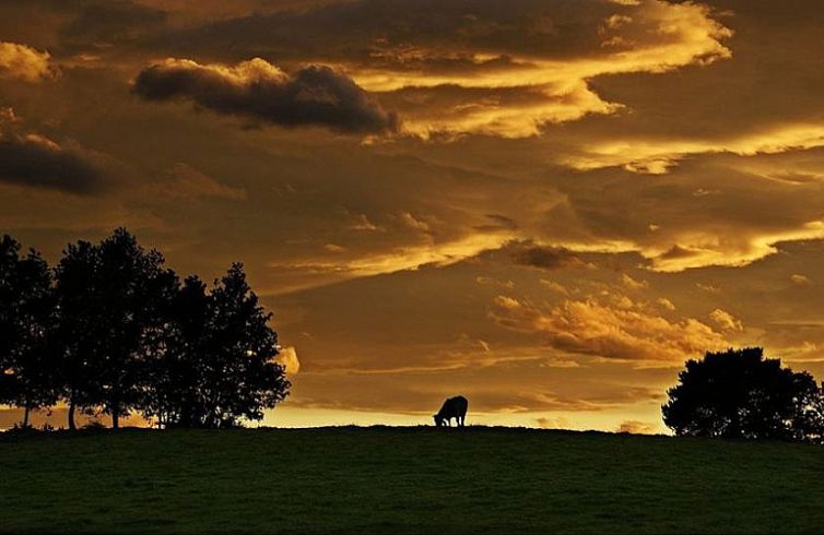 Osona_3770x500