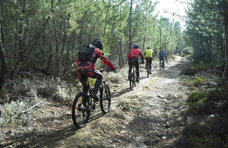 bicicleta770x500