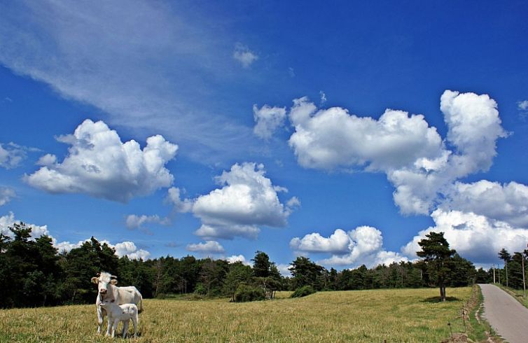 llucanes_12770x500