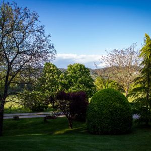 _MG_4720-Edit