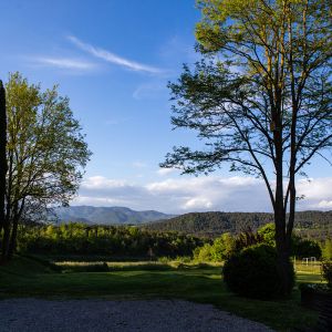 _MG_4780