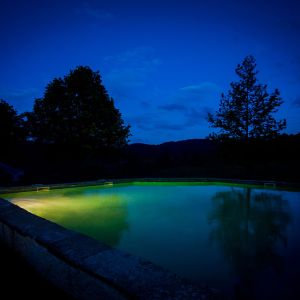 _MG_5196-Edit